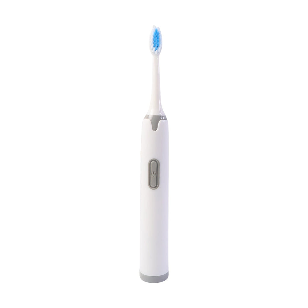 Dental Brush