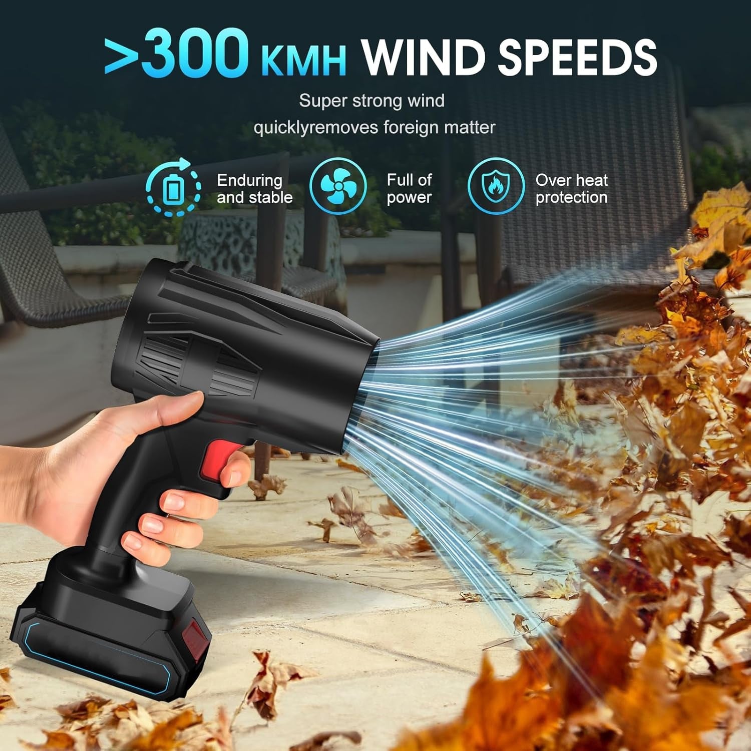 Dust Removal Blower